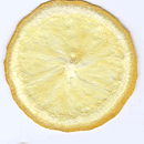 Lemon Papyrus