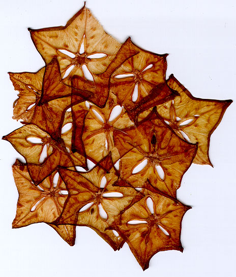 Star Fruit Papyrus